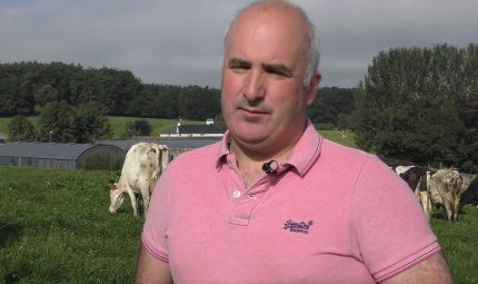 Brian Rohan